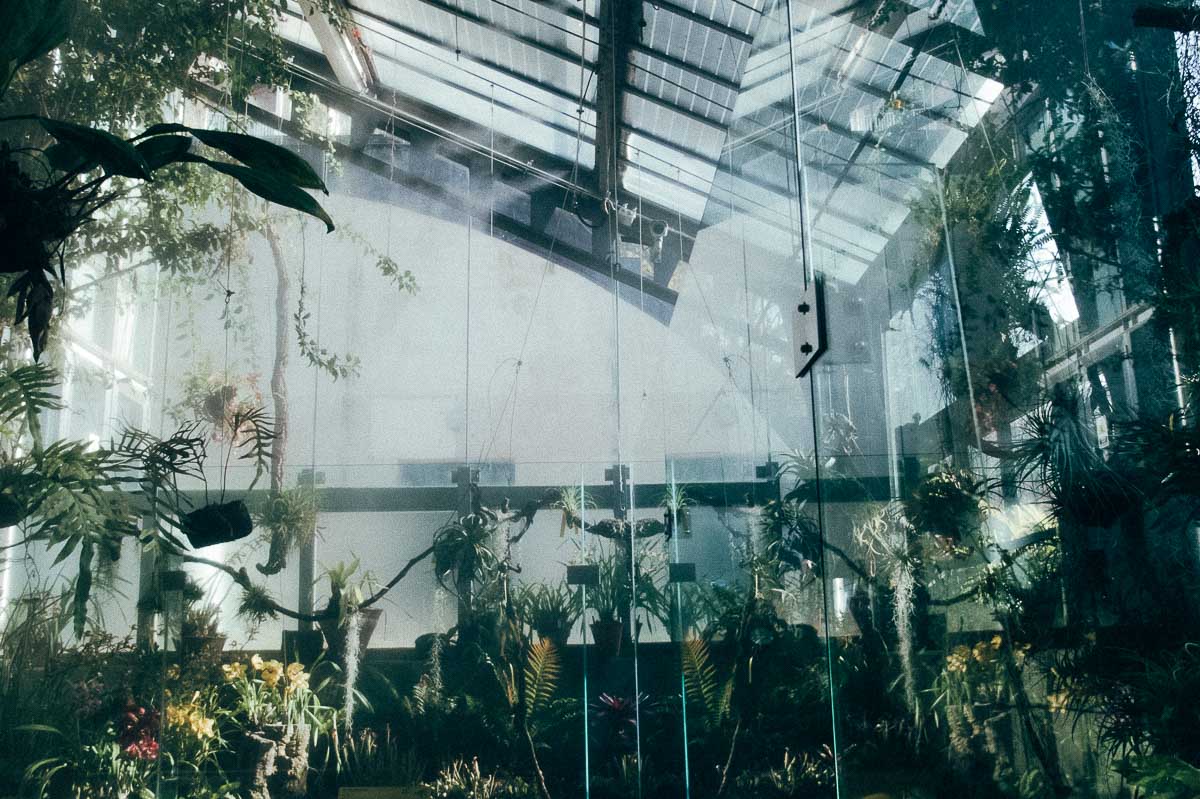 greenhouse-12